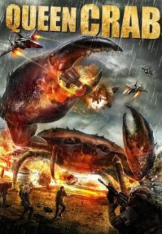 Queen Crab