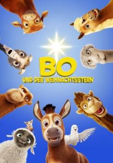 Bo und der Weihnachtsstern