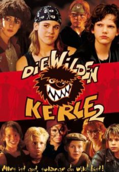 Die Wilden Kerle 2
