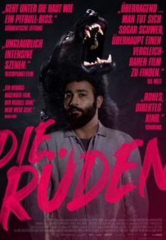 Die Rüden