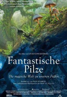Fantastische Pilze - Die magische Welt zu unseren Füssen