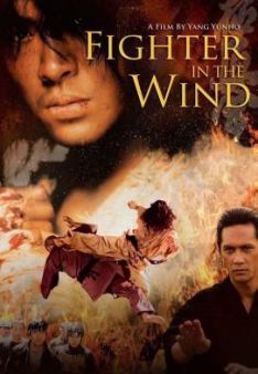 Fighter In The Wind