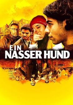 Ein nasser Hund