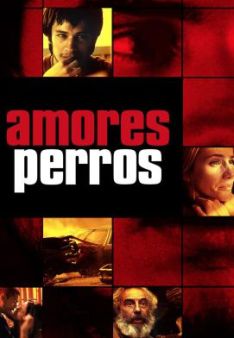 Amores perros