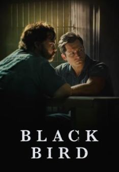 Black Bird