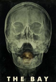 The Bay - Nach Angst kommt Panik