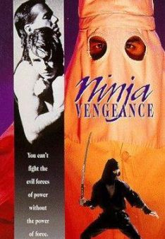 Ninja Vengeance