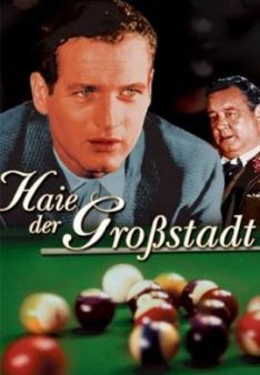Haie der Grosstadt