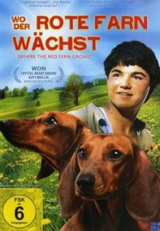 Wo der rote Farn wächst