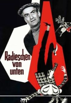 Radieschen von unten