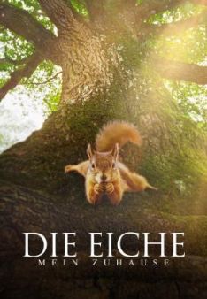 Die Eiche - Mein Zuhause