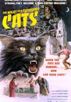 Die Rache der 1000 Katzen