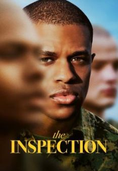 The Inspection