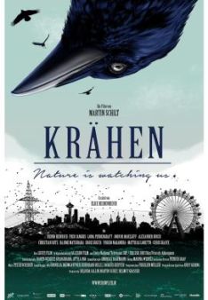 Krähen – Nature Is Watching Us