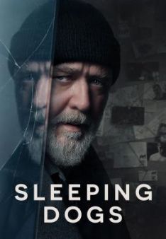 Sleeping Dogs *English*