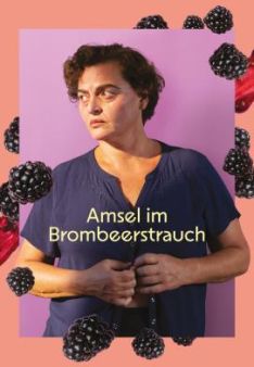 Amsel im Brombeerstrauch