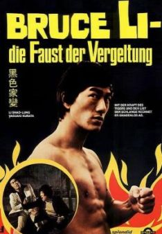 Bruce Li - Die Faust der Vergeltung