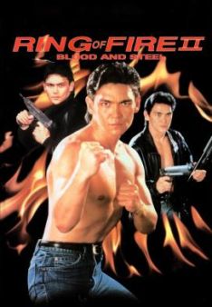 Bloodfist Fighter 4