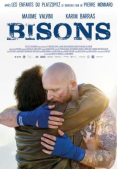 Bisons