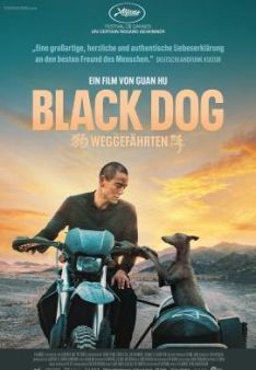 Black Dog - Weggefährten