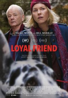 Loyal Friend