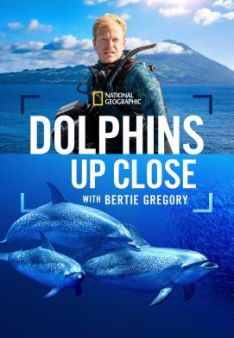Delfine Hautnah mit Bertie Gregory