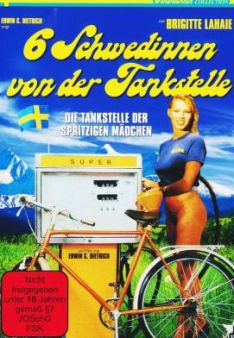 Sechs Schwedinnen von der Tankstelle