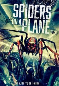Spiders on a Plane