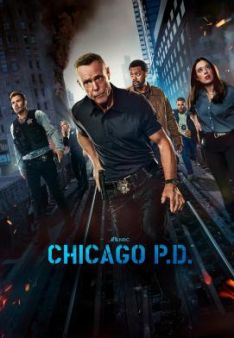 Chicago P.D. - Staffel 12