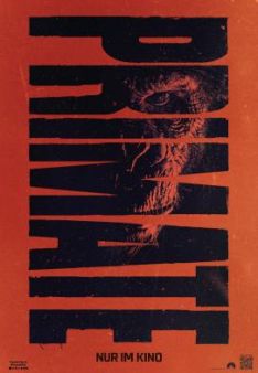 Primate
