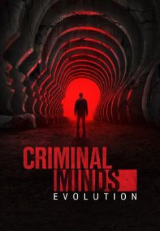 Criminal Minds - Staffel 19