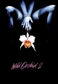 Wilde Orchidee 2