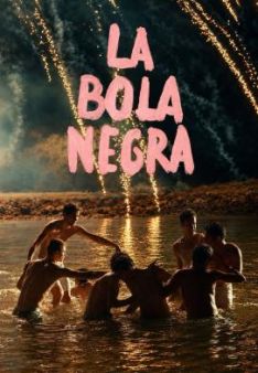 La bola negra