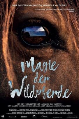 Magie der Wildpferde stream