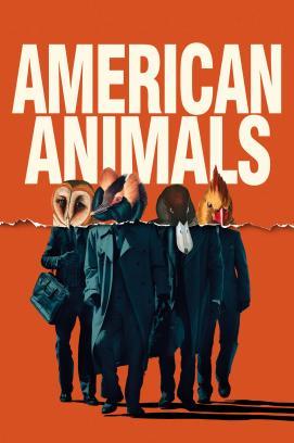American Animals stream