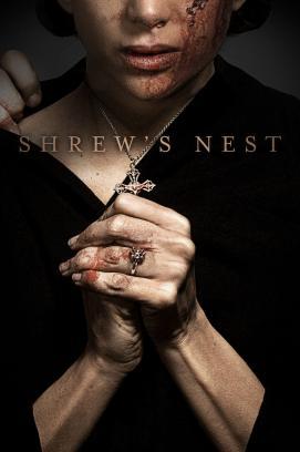 Shrew's Nest stream