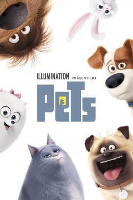 Pets stream