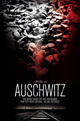 Auschwitz stream