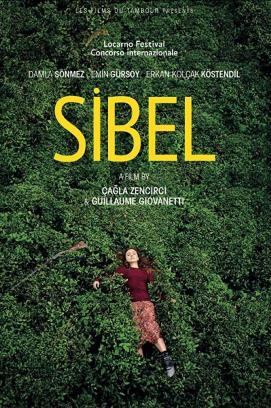 Sibel stream