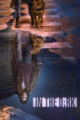 In the Dark - Staffel 1 stream