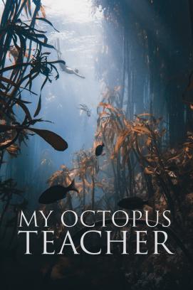 My Octopus Teacher stream