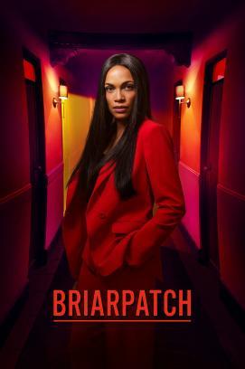 Briarpatch - Staffel 1 stream