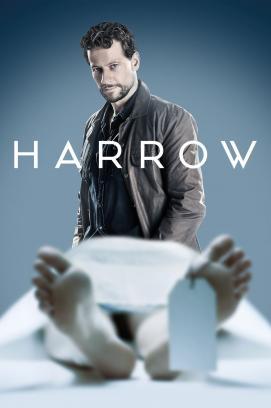 Harrow - Staffel 1 stream