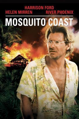 Mosquito Coast stream