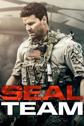 SEAL Team - Staffel 4 stream