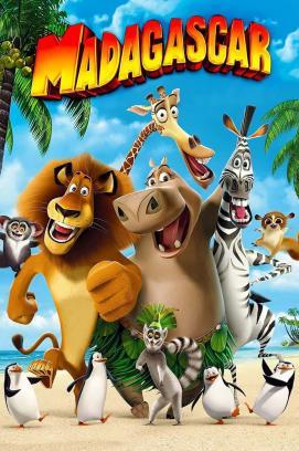 Madagascar stream