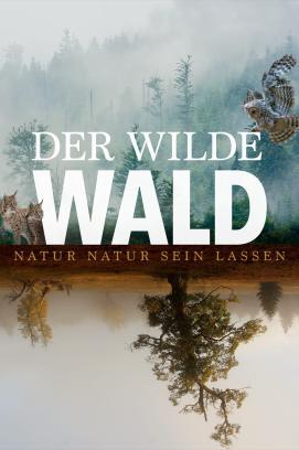 Der wilde Wald - Natur Natur sein lassen stream