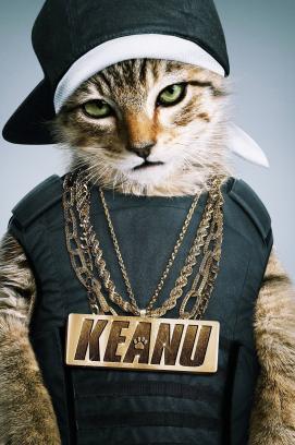 Keanu - Her mit dem Kätzchen! stream