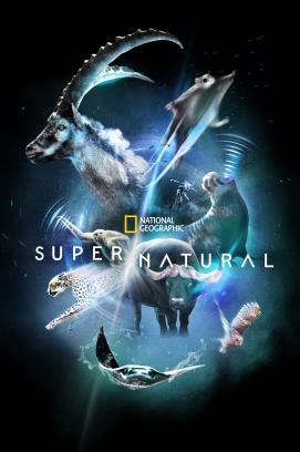 Super/Natural - Staffel 1 stream