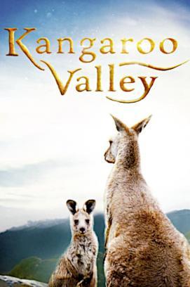 Kangaroo Valley stream